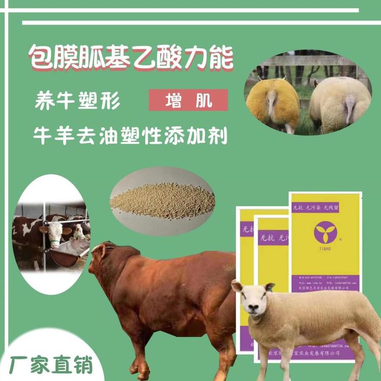 牛羊催肥包膜胍基乙酸去肥油長(zhǎng)瘦肉塑造體型好出欄促生長(zhǎng)牛羊飼料