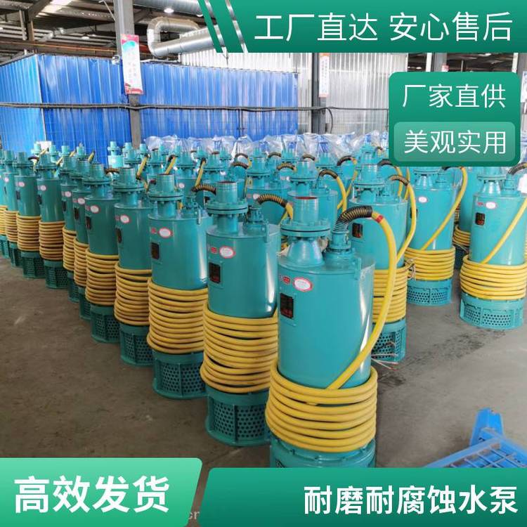 安泰污水潛水排污泵大流量無堵塞潛污泵配全銅防爆電機(jī)