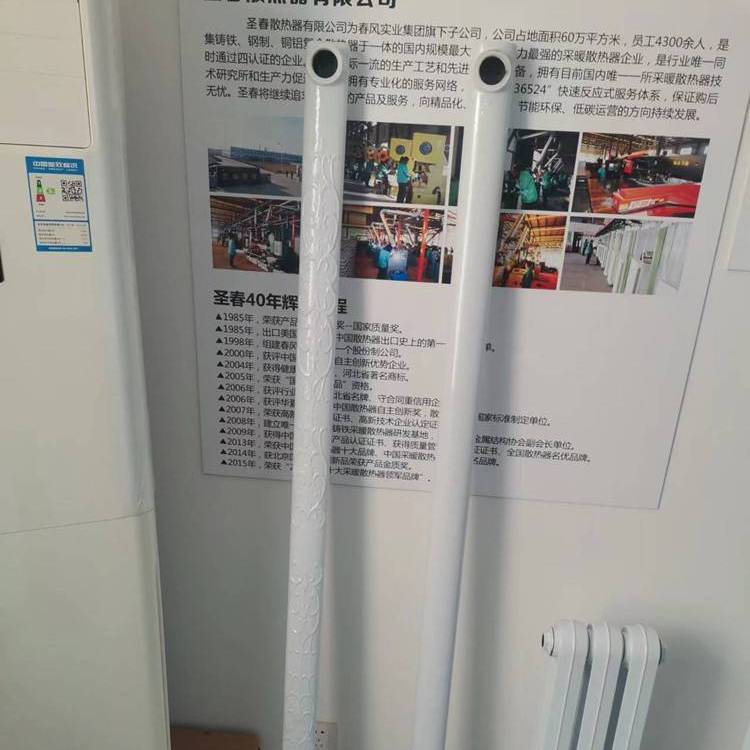 TGD1600-8型鑄鐵散熱器首春品牌立式1600型鑄鐵暖氣片