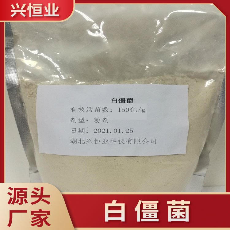 白僵菌球孢卵孢均有孢子量可定制每畝僅用一千克