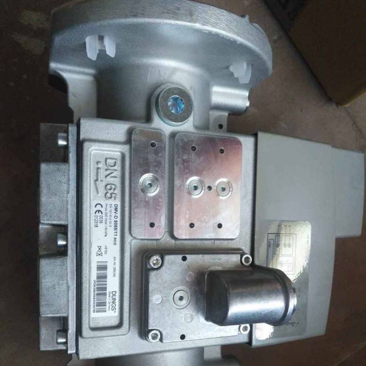 DMV-D525\/11DUNGS鍐柉闆荤闁ョ噧鐕掑櫒閰嶄欢鍘熻