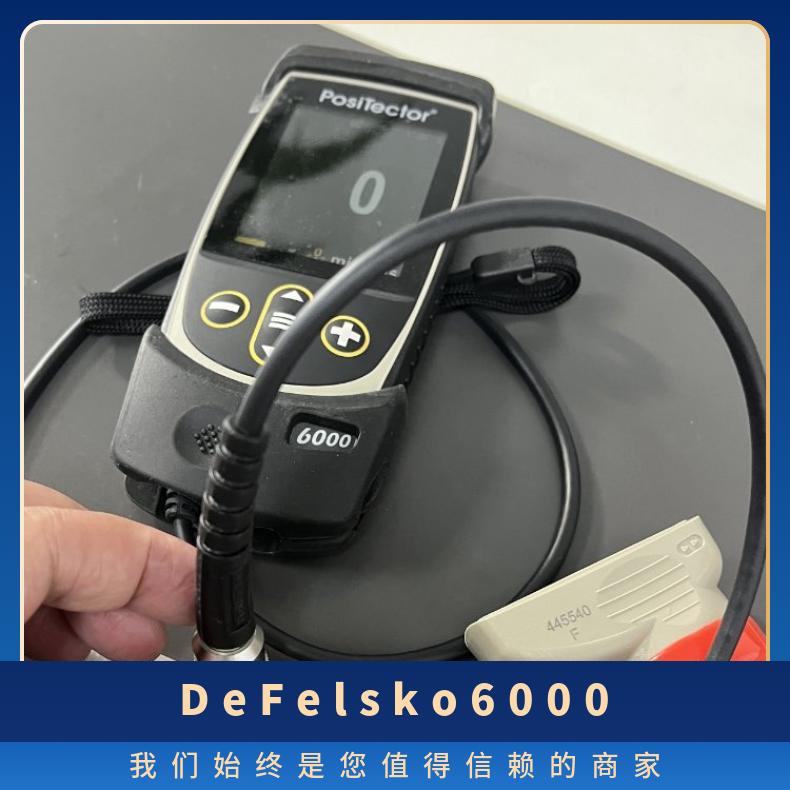 美國DeFelsko狄夫斯高涂層測厚儀系列2現(xiàn)貨型號6000FS1否