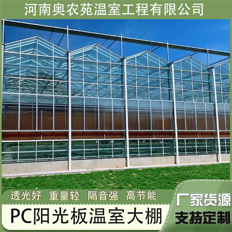 pc陽光板雙層婚慶隔斷溫室大雨棚聚碳酸酯板隔熱中空