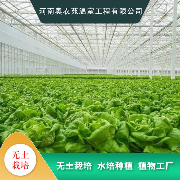 奧農(nóng)苑溫室工程番茄無(wú)土栽培種植系統(tǒng)施工節(jié)約水肥清潔衛(wèi)生無(wú)污染