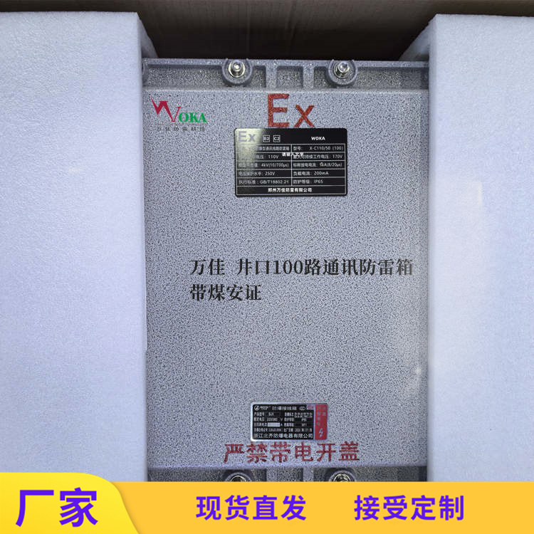 50路礦用本安型信號(hào)避雷箱，防爆型通訊電纜分線箱，隔爆型防雷箱