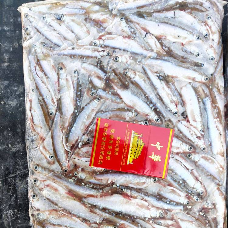 全年供貨淡水小雜魚水產(chǎn)批發(fā)各類小雜魚小雜魚貨源批發(fā)市場