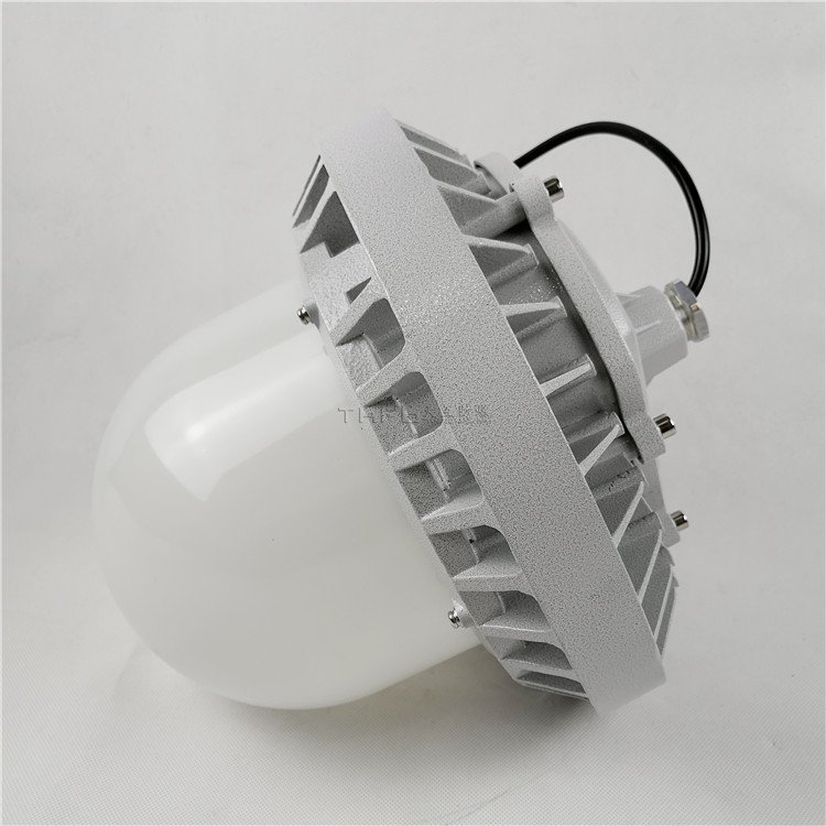 電廠三防照明燈發(fā)電廠LED三防燈70W100W工廠防塵防眩防腐壁燈