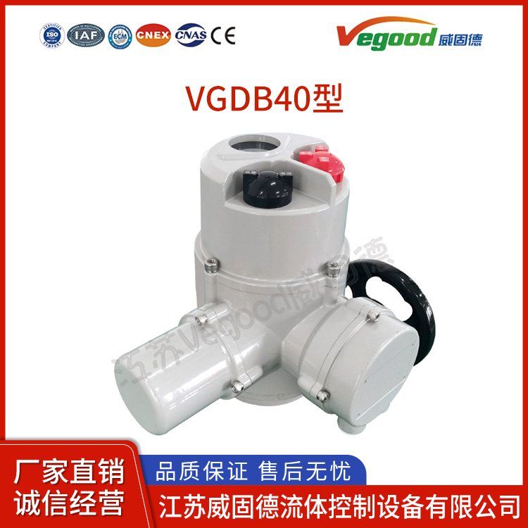 VGDB40型角行程系列VGDQ系列執(zhí)行器防爆型電動(dòng)執(zhí)行器