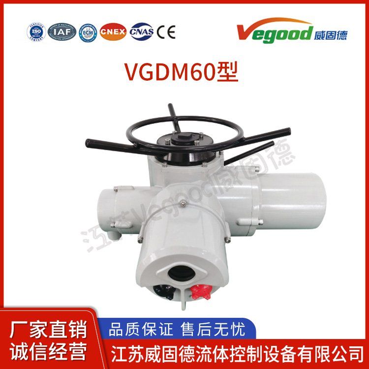 F-DZW60智能型電動(dòng)執(zhí)行機(jī)構(gòu)智能型傳感器末端執(zhí)行器