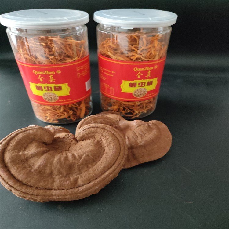 蛹蟲草產(chǎn)品定制代加工廠家冬蟲夏草原料現(xiàn)貨批發(fā)