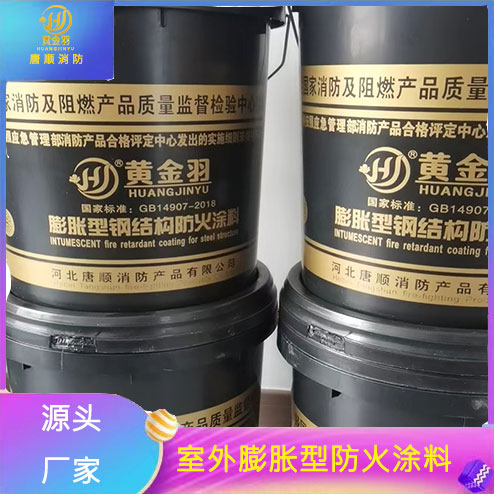 唐順鋼結(jié)構(gòu)防火涂料薄型超薄型膨脹型非膨脹型防火漆施工驗(yàn)收