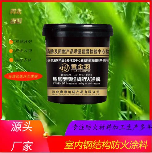 水性電纜防火涂料膨脹型薄型超薄室內(nèi)室外鋼結(jié)構(gòu)防火廠家現(xiàn)貨直供