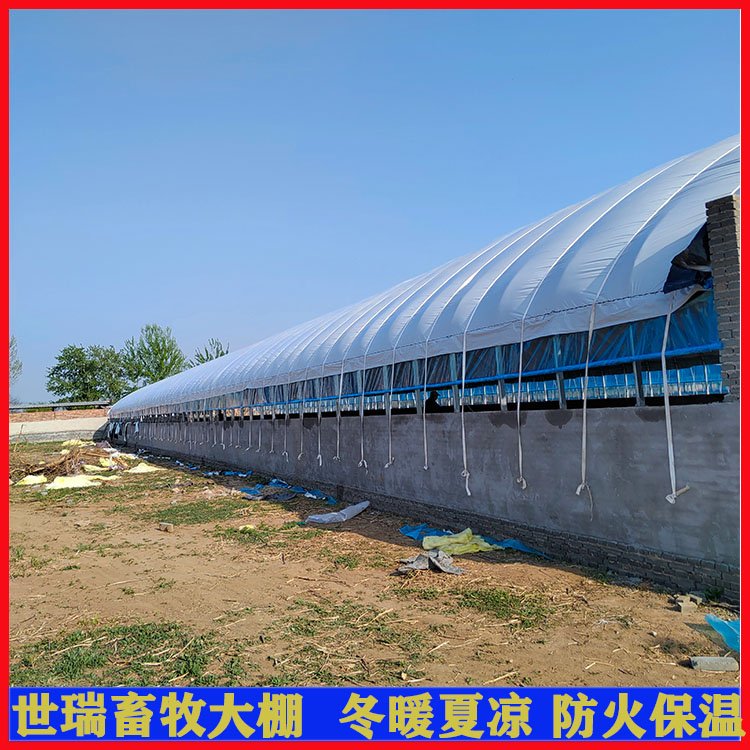 新型全自動養(yǎng)豬棚建造養(yǎng)豬舍大棚建設(shè)黑豬養(yǎng)殖棚搭建育肥豬舍安裝