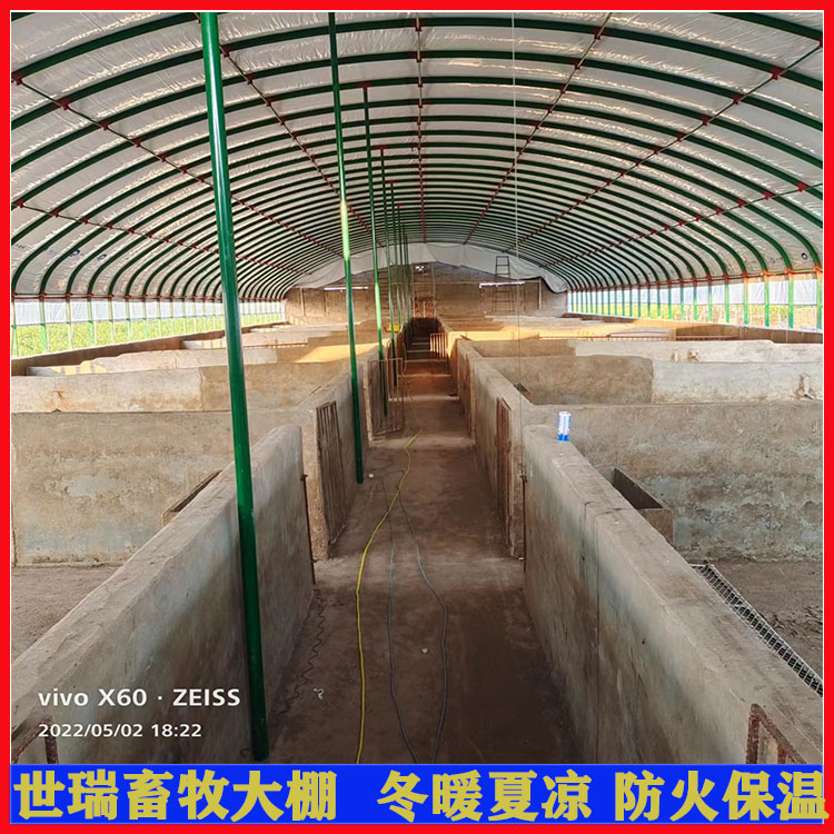 養(yǎng)豬場豬舍大棚建設(shè)大棚式養(yǎng)豬舍搭建鋼架養(yǎng)豬大棚施工建造