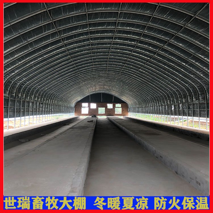 建造養(yǎng)鵝大棚肉鵝養(yǎng)殖大棚搭建散養(yǎng)鵝棚施工安裝簡(jiǎn)易鵝舍大棚