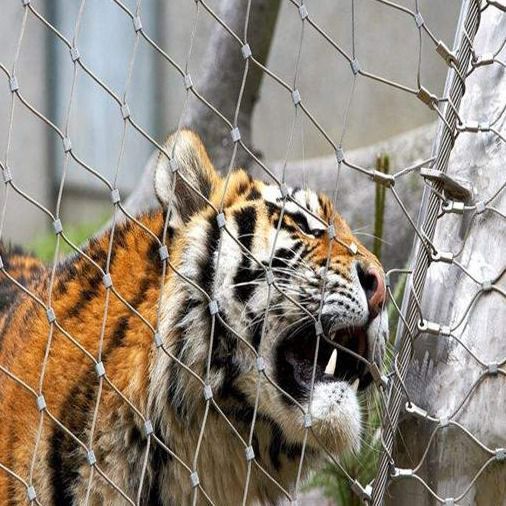 動物園圍欄網(wǎng)編織籠舍軟網(wǎng)304卡扣防墜落不銹鋼絲繩網(wǎng)