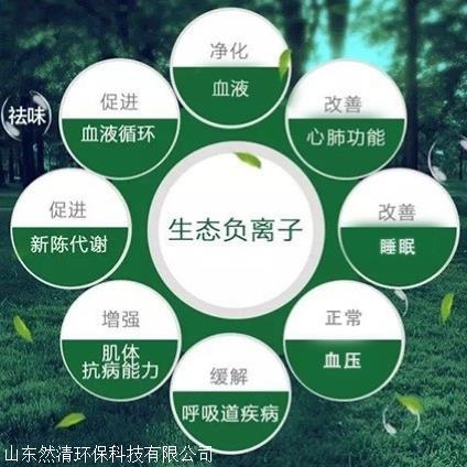 負(fù)離子機(jī)負(fù)氧離子發(fā)生器負(fù)離子發(fā)生器負(fù)離子是什么