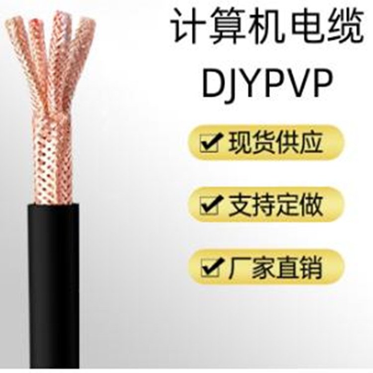 廠家供應(yīng)DJYPVP1*2*2.5屏蔽計(jì)算機(jī)信號(hào)電纜抗氧化傳輸好國標(biāo)定制