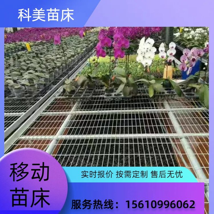 溫室種植水稻花卉選擇移動(dòng)式苗床生產(chǎn)廠家育苗養(yǎng)植