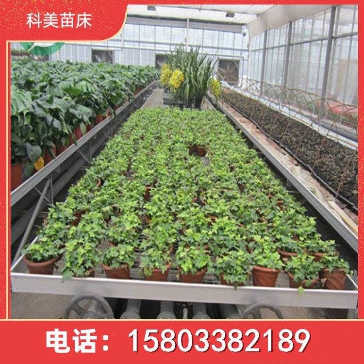 種植蝴蝶蘭專(zhuān)用黑色塑料網(wǎng)苗床航迪品牌出品