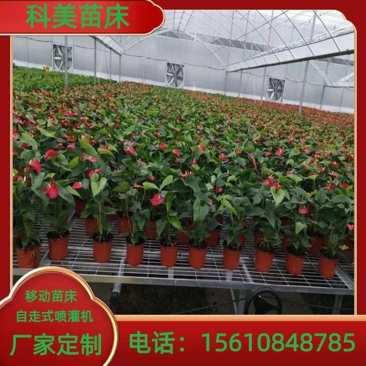 移動(dòng)苗床廠家發(fā)貨花卉種植專用育苗床噴灌系統(tǒng)種植配套設(shè)施