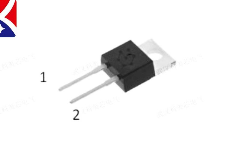 派恩杰碳化硅二極管分立半導體P4D06020I2（650V\/52nC）