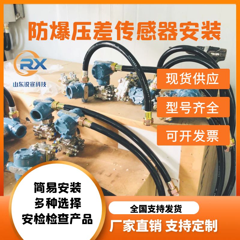 飼料廠專業(yè)防爆壓差報(bào)警器除塵器收集專用壓差報(bào)警器RX-PY5K1