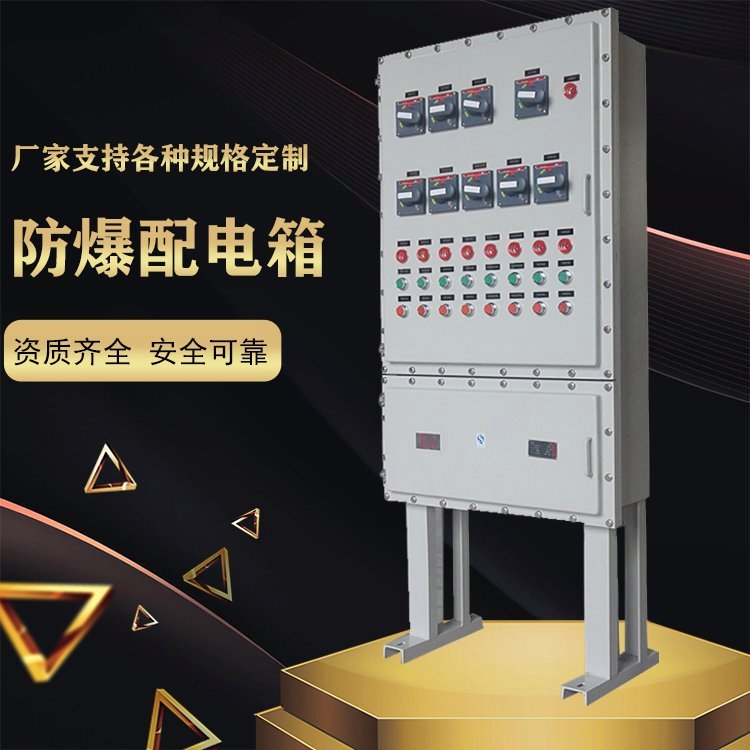 防爆配電箱照明箱隔爆立式動(dòng)力配電柜PLC電源控制柜首安廠家