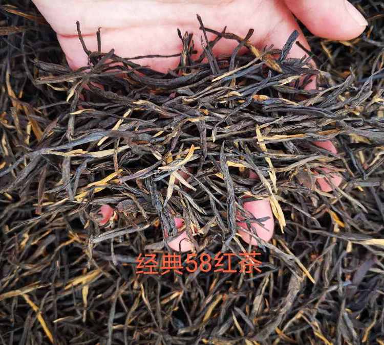 重慶沱茶茶葉加工要求