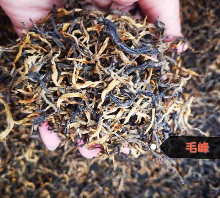 坦洋工夫茶茶葉廠家批發(fā)廠家