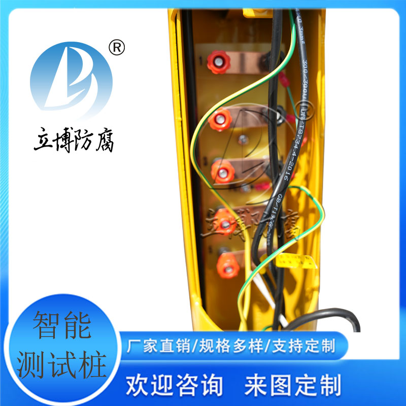 立博石油管道智能電位測(cè)試樁陰極保護(hù)智能材料可開(kāi)票可定制規(guī)格