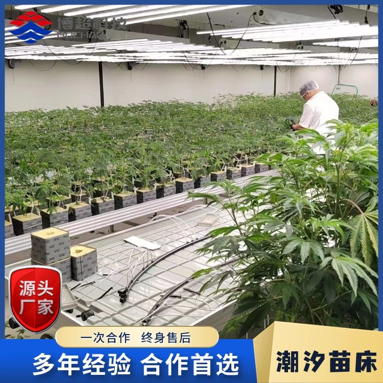 博超溫室設(shè)備潮汐苗床熱鍍鋅移動(dòng)苗床?品質(zhì)過硬