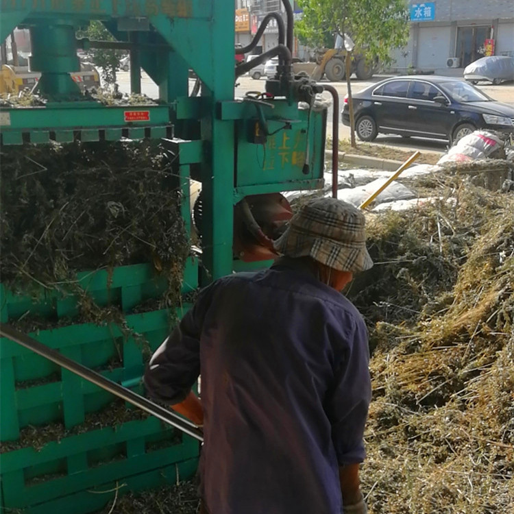 佳豐小型蘆葦秸稈打包機(jī)雙缸稻草麥秸打捆機(jī)自動出包