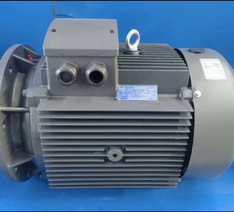 三相異步電動(dòng)機(jī)開元電機(jī)銷售部YE3-200L2-6-22KW380V50HZ