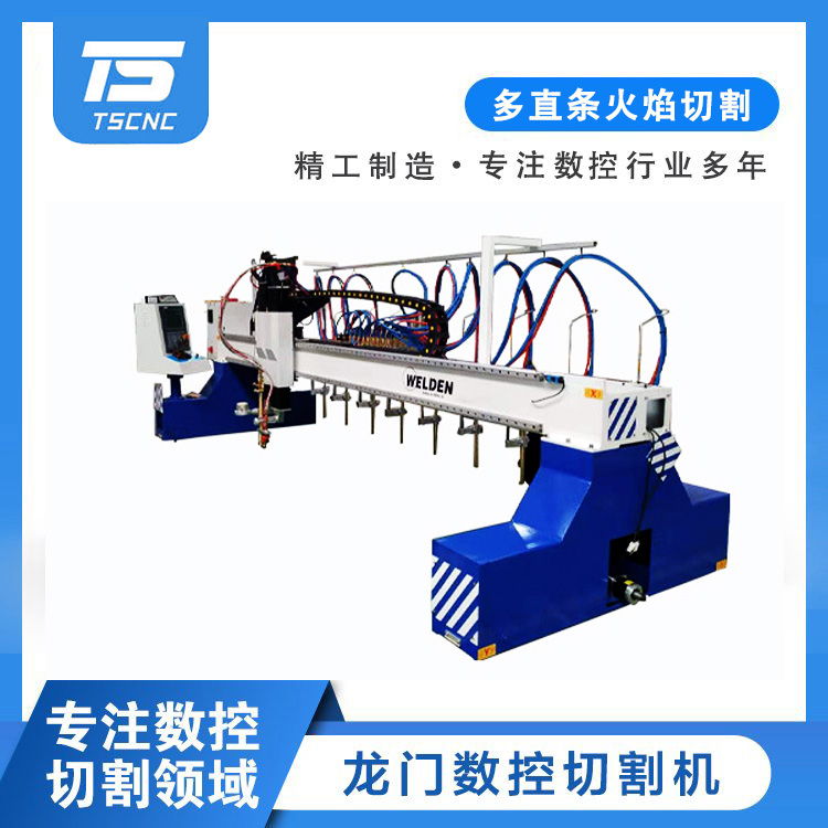 龍門火焰多直條切割機(jī)鋼結(jié)構(gòu)板材下料自動切割等離子切割設(shè)備