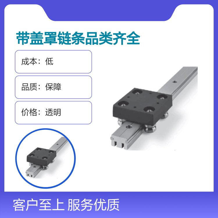 五星服務(wù)靠譜實(shí)力雄厚專業(yè)制造帶蓋罩鏈條滑塊導(dǎo)軌傳動(dòng)配件