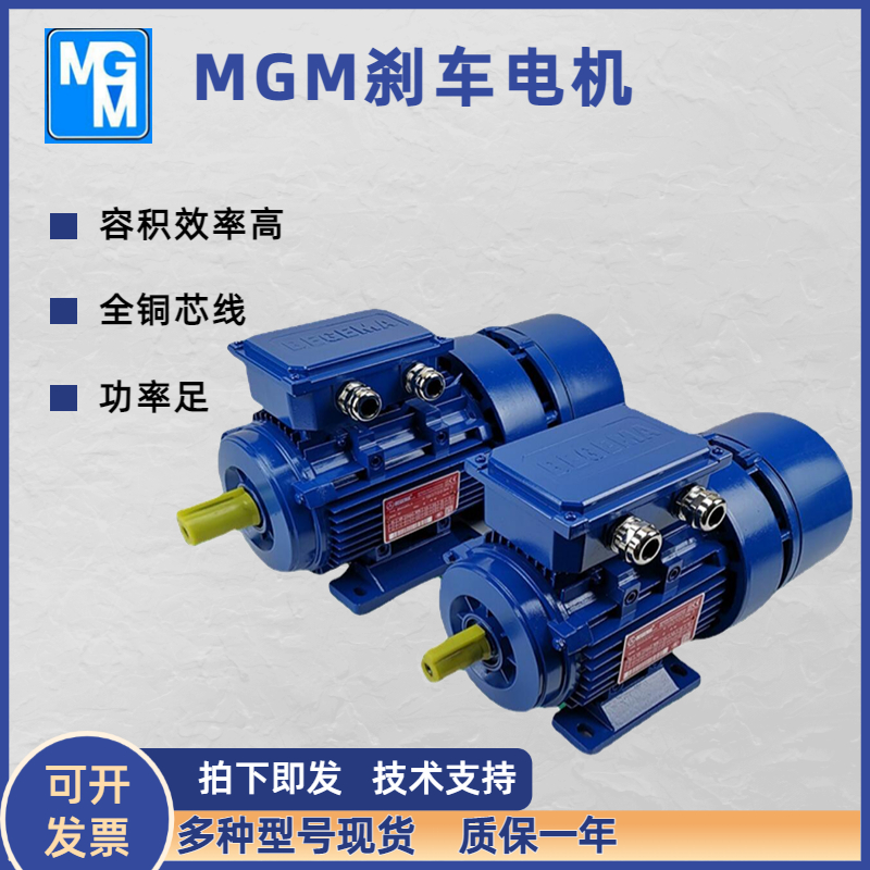 MGM電機BA160LA4風(fēng)能偏航馬達(dá)卷簾門抱閘電機