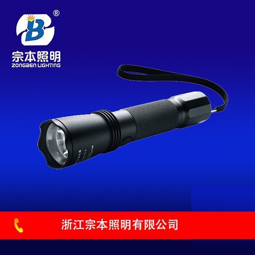 SW2101強光防爆電筒