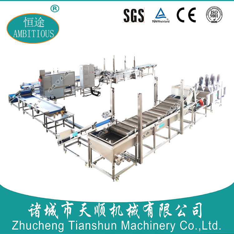 果蔬氣泡清洗機水果真空凍干機凍干蘋果片前處理流水線設備