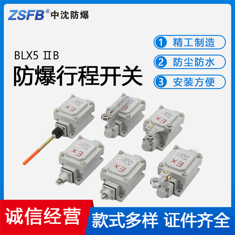 防爆行程開關BLX5限位開關搖臂式柱塞式可調式滾輪開關