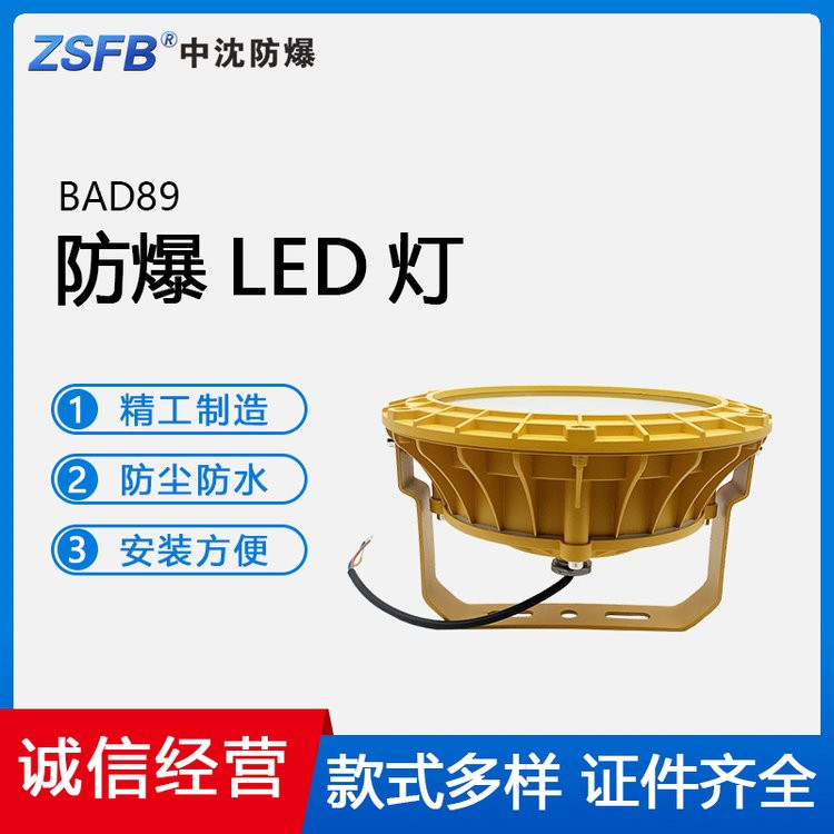 批發(fā)防爆LED燈免維護(hù)BAD89吊桿燈加油站防爆燈100W150W