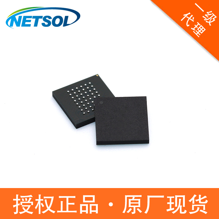 NETSOL授權(quán)代理商S3R4016R1M4MbitParellel并口MRAM48FBGA存儲(chǔ)IC