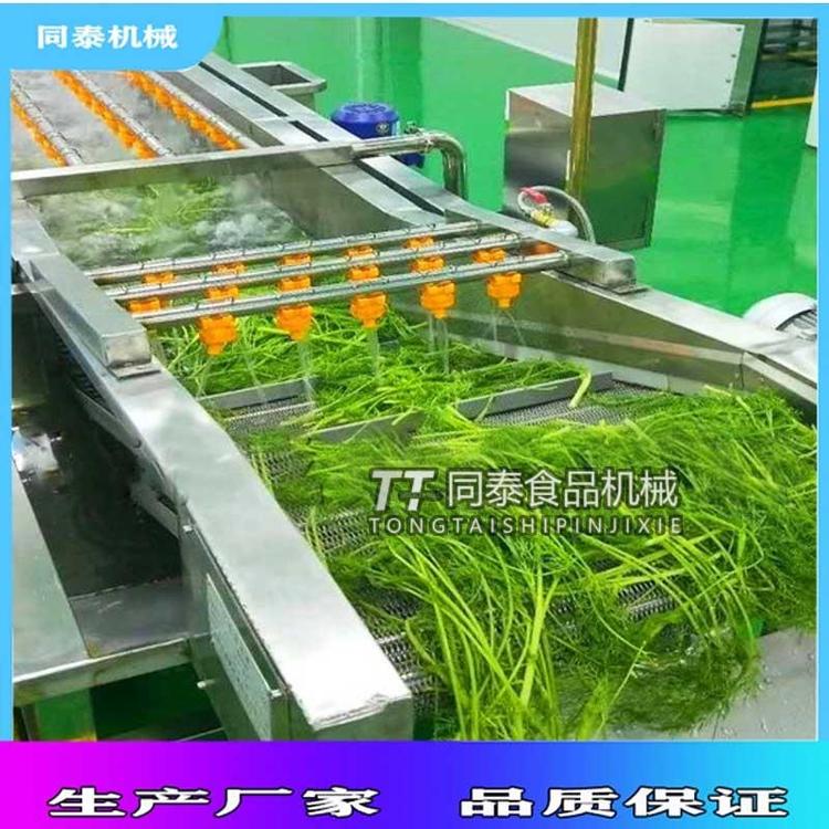 果蔬氣泡清洗機蘋果圣女果清洗機多功能洗菜機