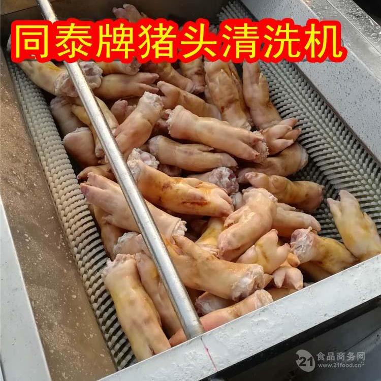 豬蹄毛輥清洗機(jī)洗豬腳機(jī)