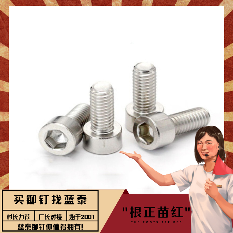 藍(lán)泰非標(biāo)定制盤頭機(jī)防盜螺釘適用護(hù)欄行業(yè)不銹鋼A2-70