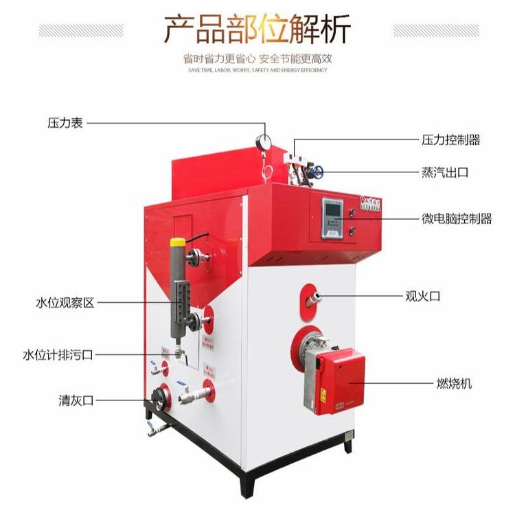 路平機(jī)械生物質(zhì)蒸汽發(fā)生器燃油蒸汽機(jī)混凝土養(yǎng)護(hù)加熱器