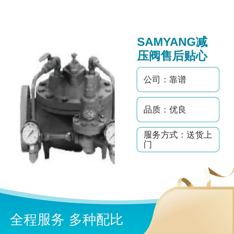 韓國三洋SAMYANG減壓閥品質(zhì)優(yōu)性能穩(wěn)定成熟服務(wù)體系送貨上門服務(wù)