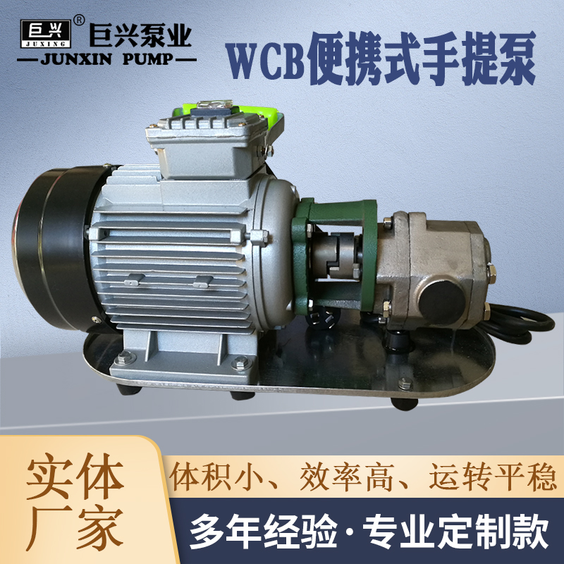 WCB不銹鋼手提泵微型電動(dòng)抽油泵自吸式齒輪泵小型輸油泵