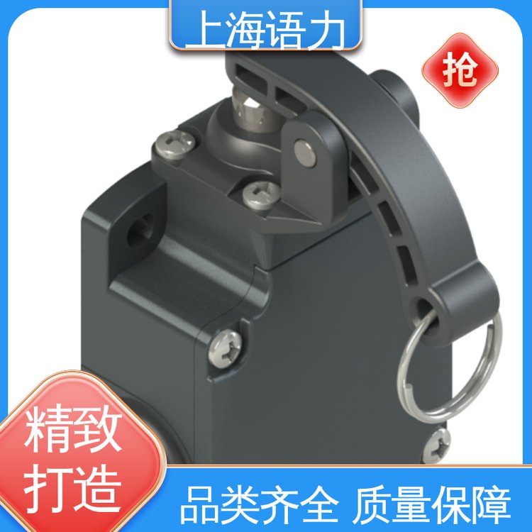 歐洲制造PizzatoElettrica開關(guān)CSDM-01V024源頭廠家供貨