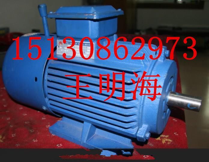 供應(yīng)衡水永動YE3-280M-4-90KW超高效節(jié)能三相異步電動機(jī)